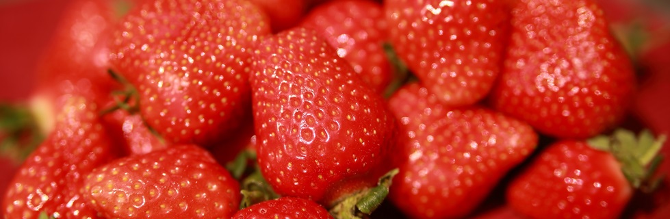 frische Erdbeeren in Gütersloh kaufen